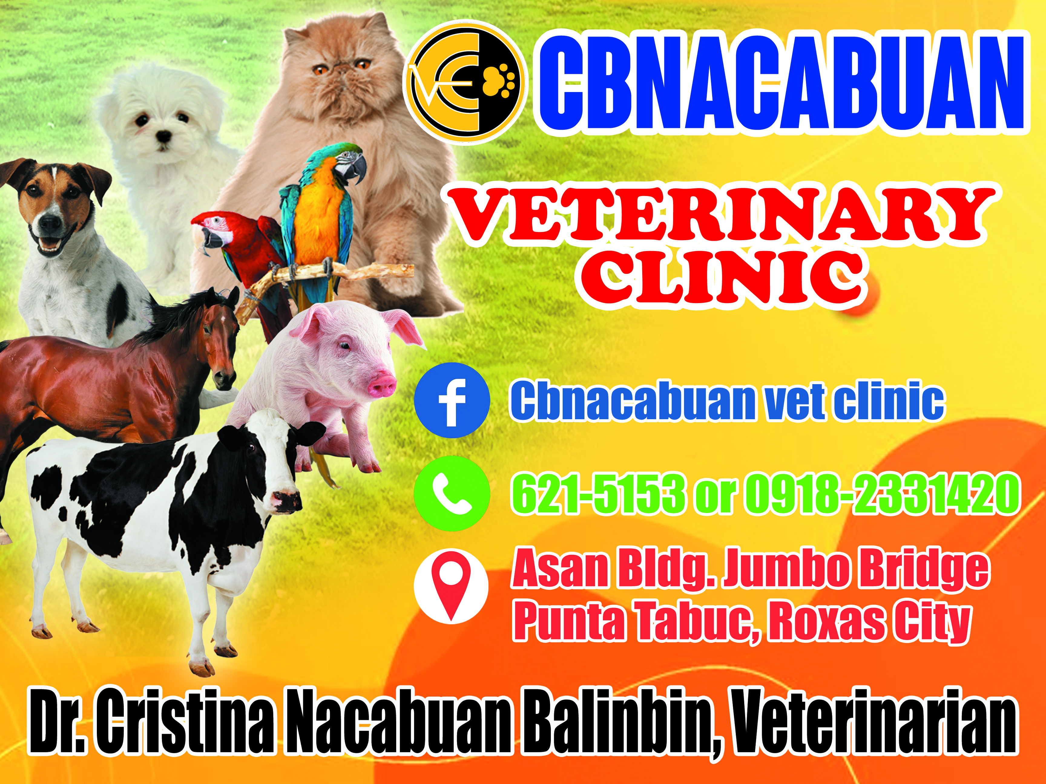 CBNACABUAN VETERINARY CLINIC