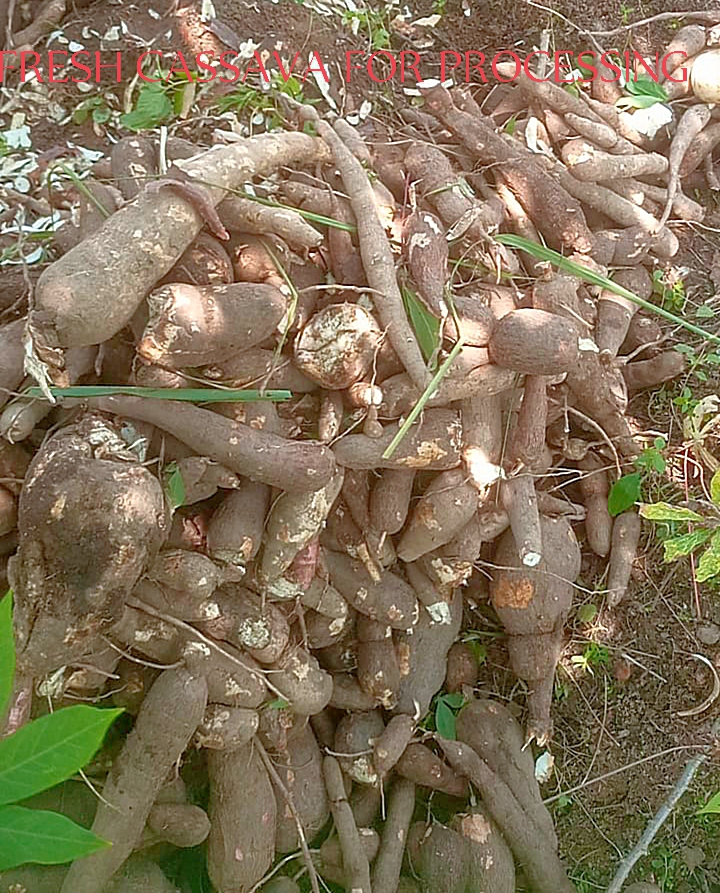 LEBULIBULIKOM GLOBAL FARMS