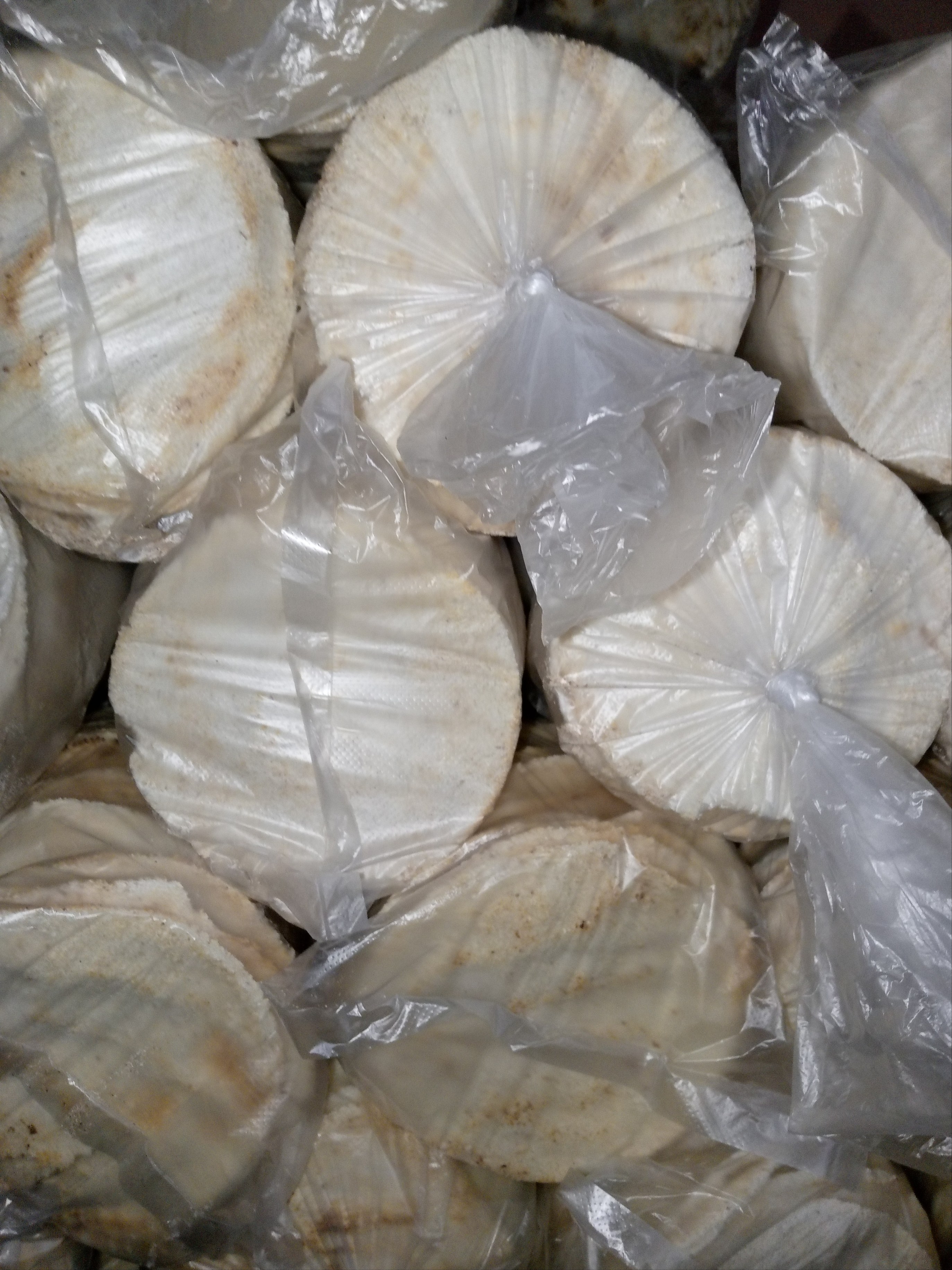 Casabe tradicional Venezolanisimo 🔆