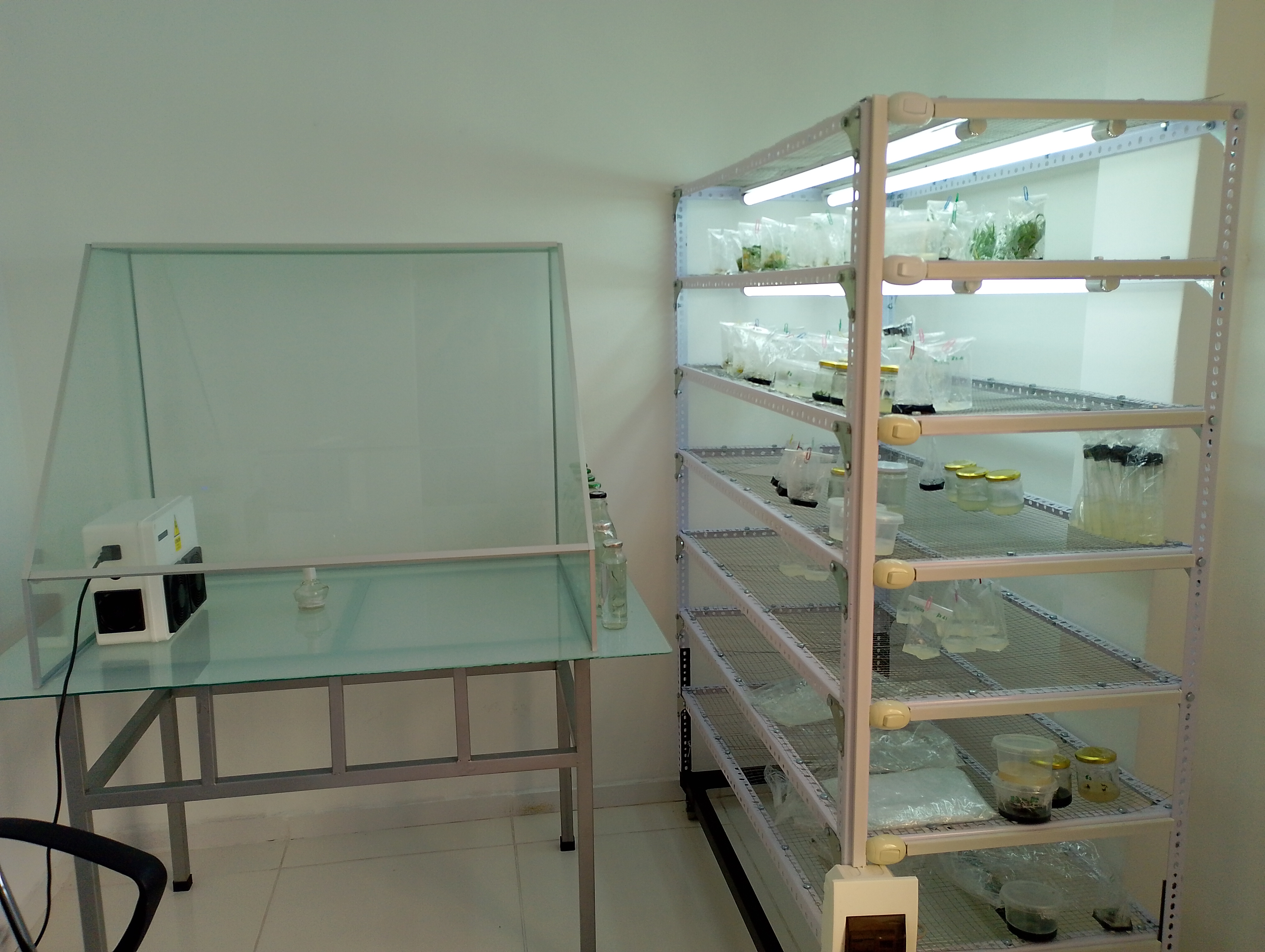 BioGrow - Asesoria y produccion agricola