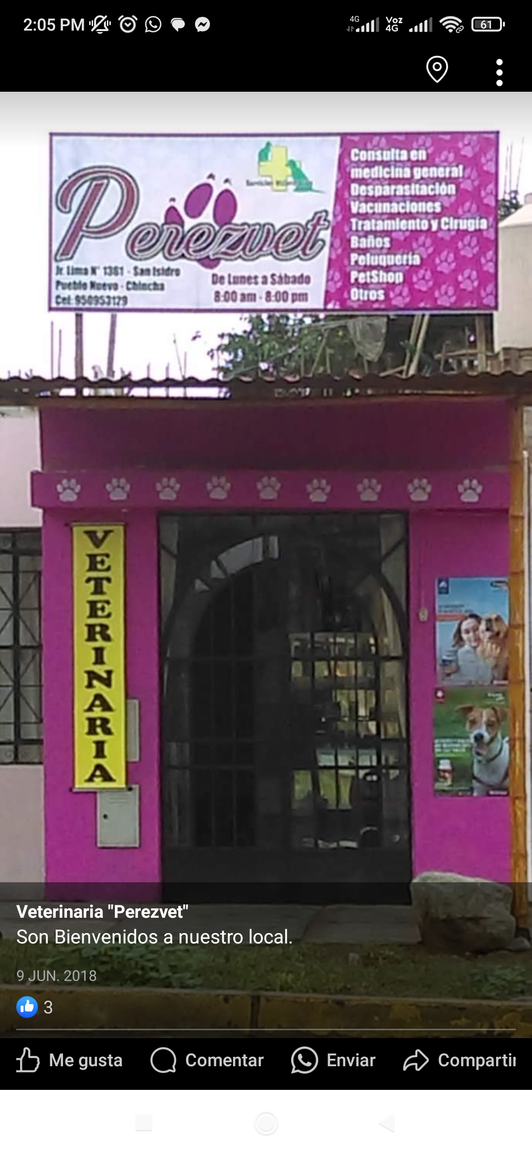 Veterinaria Perezvet