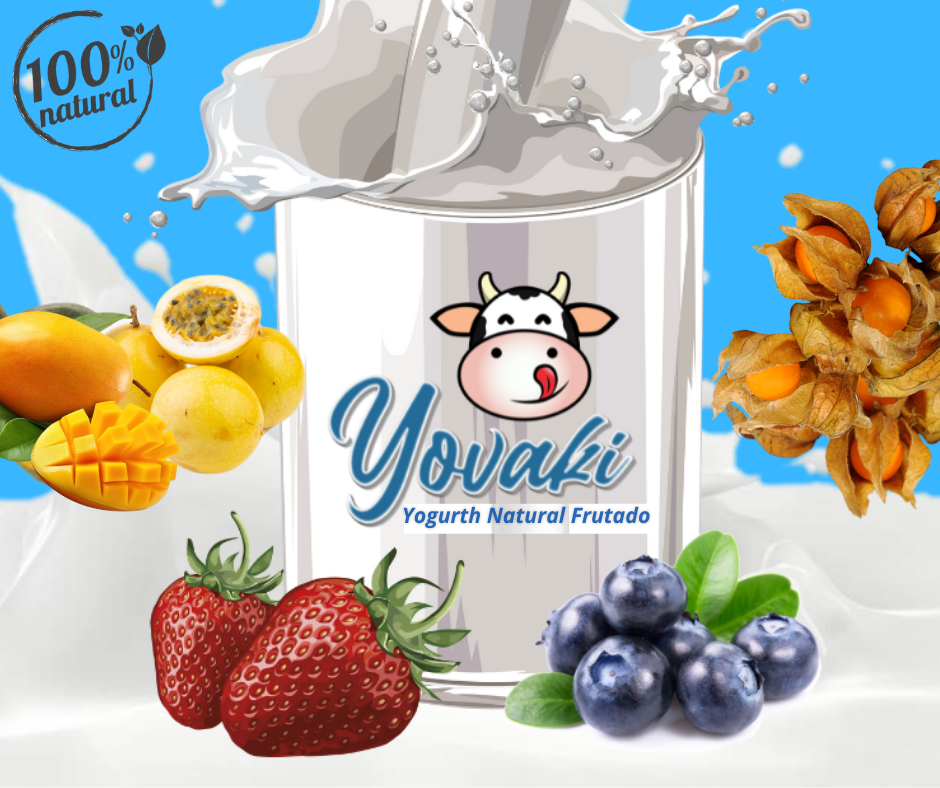 YOVAKI Yogurth Natural Frutado