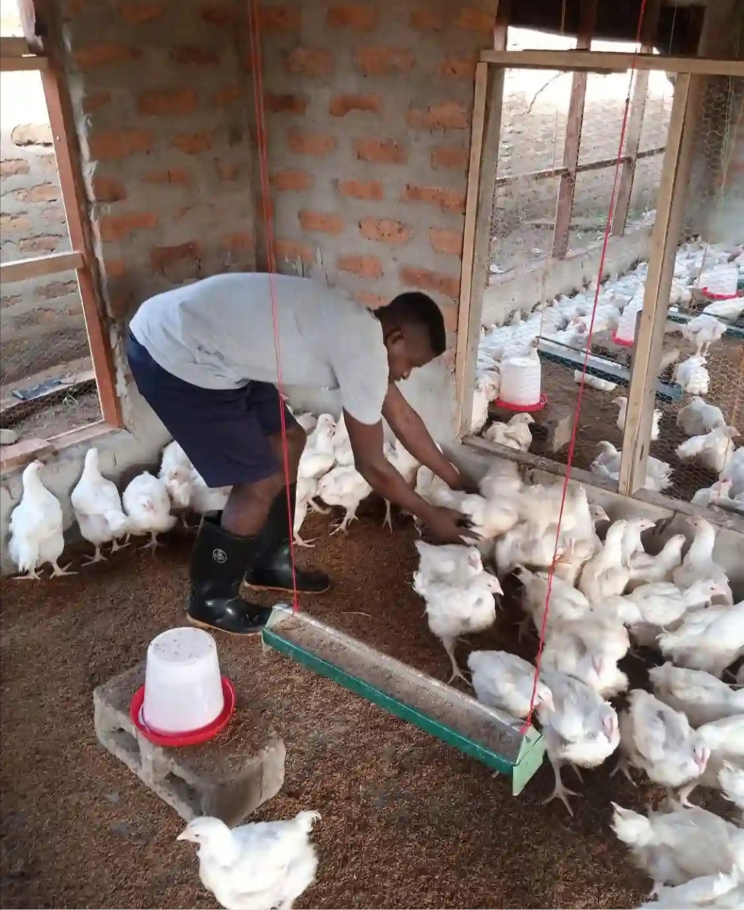 Elysium enterprise nigeria LTD